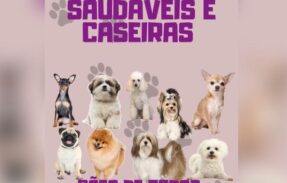 Imagem do grupo de WhatsApp 30 receitas saudáveis para seu pet