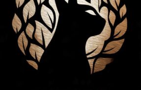 Imagem do grupo de WhatsApp Alimentos naturais para pets