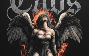 Imagem do grupo de WhatsApp ️GRUPO OFICIAL NA DESCRIÇÃO ️