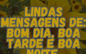 Imagem do grupo de WhatsApp Bom dia, Boa tarde e Boa noite   