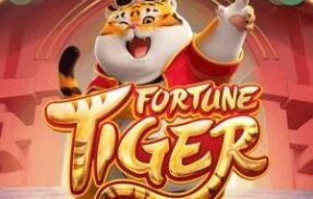 Imagem do grupo de WhatsApp tiger – melhores plataformas 