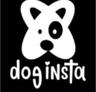 Imagem do grupo de WhatsApp Dog Insta Brasil 