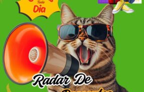 Imagem do grupo de WhatsApp Radar de Descontos