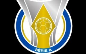 Imagem do grupo de WhatsApp BRASILEIRÃO RAIZ ️