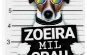 Imagem do grupo de WhatsApp Turma da zueira 