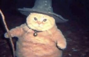 Imagem do grupo de WhatsApp Grimorium Æternum