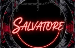 Imagem do grupo de WhatsApp . •  ۚ . ║ 𝐂𝐇𝐀𝐓 𝐒𝐀𝐋𝐕𝐀𝐓𝐎𝐑𝐄 ۚ : 🇦🇱 .! •˖ ⁺