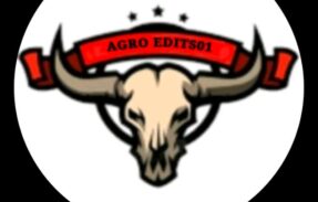 Imagem do grupo de WhatsApp frevo do forró 