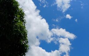 Imagem do grupo de WhatsApp CONVERSAS 24H