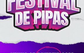 Imagem do grupo de WhatsApp 🪁GRUPO DE PIPA| CM🪁