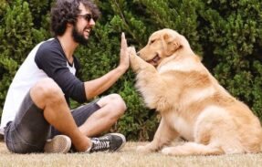 Imagem do grupo de WhatsApp Amando Pets