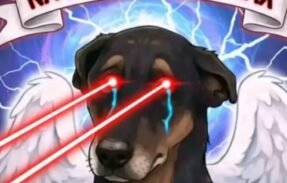 Imagem do grupo de WhatsApp Web Dogs