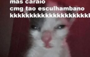 Imagem do grupo de WhatsApp Caps o seu lugar é aqui 2