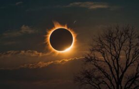 Imagem do grupo de WhatsApp ꧁ NOX ECLIPSE  ꧂️