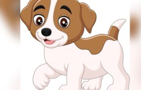 Imagem do grupo de WhatsApp Cuide do seu amigo 