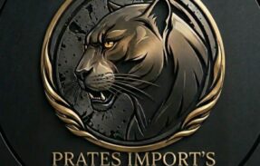 Imagem do grupo de WhatsApp Prates Import’s