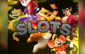 Imagem do grupo de WhatsApp GRUPO VIP – TATIANA SLOTS 