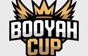 Imagem do grupo de WhatsApp Booyah Cup 