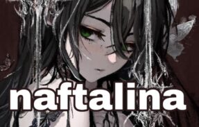 Imagem do grupo de WhatsApp Naftalina ꨄ