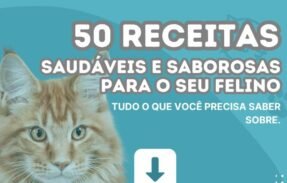 Imagem do grupo de WhatsApp 50 receitas saudáveis pra gatos 