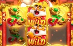 Imagem do grupo de WhatsApp Bancas–Plataformas 100% pagantes brincadeira 3x a semana