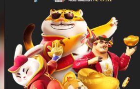 Imagem do grupo de WhatsApp PLATAFORMAS 2026