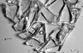 Imagem do grupo de WhatsApp GATOSHI 