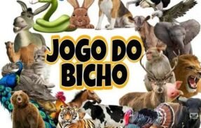 Imagem do grupo de WhatsApp JOGO DO BICHO   