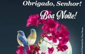 Imagem do grupo de WhatsApp Bom dia, boa tarde, boa noite