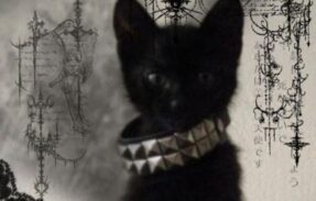 Imagem do grupo de WhatsApp N∅VA EЯA