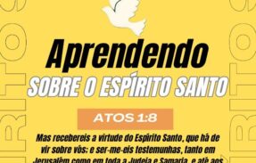 Imagem do grupo de WhatsApp Aprendendo com Espírito Santo