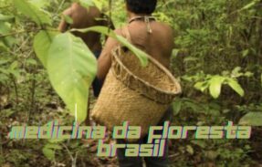 Imagem do grupo de WhatsApp MEDICINA DA FLORESTA