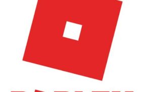 Imagem do grupo de WhatsApp NETINHO × ROBLOX ️