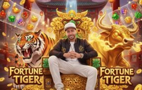 Imagem do grupo de WhatsApp PG SLOTS PAGANTES