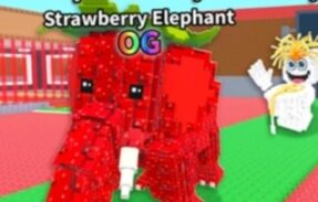 Imagem do grupo de WhatsApp Trocas e venda de brain rots