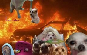 Imagem do grupo de WhatsApp 𝙱αɠ𝘂ᥒ𝗰̧𝘢 ҽ 𝙵𝙖rr𝒂 