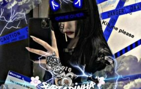 Imagem do grupo de WhatsApp 𝐹𝐿𝑂𝑊   𝐼𝑁𝑆𝐴𝑁𝑂