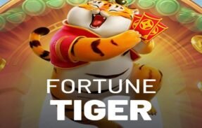 HORÁRIOS DO FORTUNE TIGER 