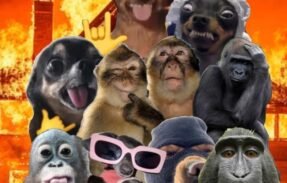 Imagem do grupo de WhatsApp Caps 2.0🇧🇷