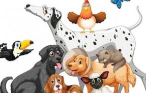 Imagem do grupo de WhatsApp MUNDO DOS PETS