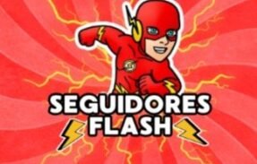 SEGUIDORES FLASH