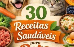 Imagem do grupo de WhatsApp 30 Receitas Saudáveis pro seu pet 