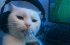 Imagem do grupo de WhatsApp 𝑅𝐸𝒮𝐸𝒩𝐻𝒜𝒮  ²⁴ h͓̽o͓̽r͓̽a͓̽s͓̽🫟