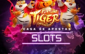 Imagem do grupo de WhatsApp CASA DE APOSTAS