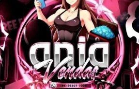 Imagem do grupo de WhatsApp ANJA | VENDAS FF 1.0
