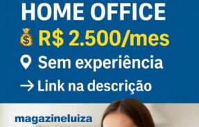 Imagem do grupo de WhatsApp  Vagas Home Office | Processo Seletivo 2024