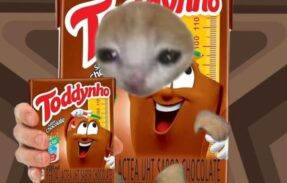 Imagem do grupo de WhatsApp TODDYNHOO