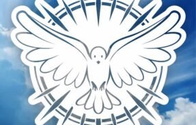 Imagem do grupo de WhatsApp Chat | ️AD Luz Divina