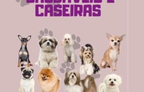 Imagem do grupo de WhatsApp PetSabor & Saúde