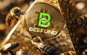 BeeFund – Investimentos em Cripto